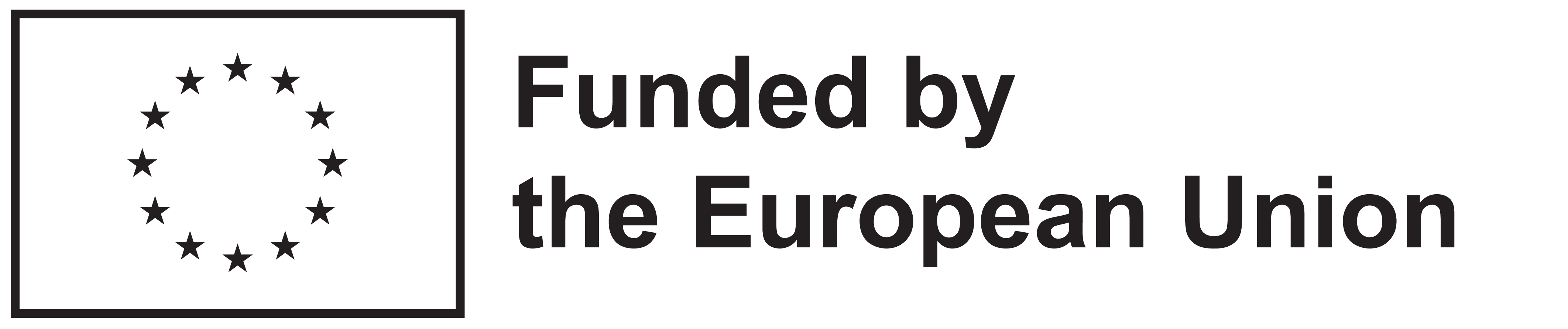 EU flag